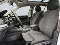 Skoda Octavia Combi Clever 1.5TSI DSG 4xSHZ Massagesitz Argento - thumbnail 7