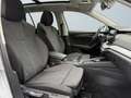 Skoda Octavia Combi Clever 1.5TSI DSG 4xSHZ Massagesitz Argento - thumbnail 10