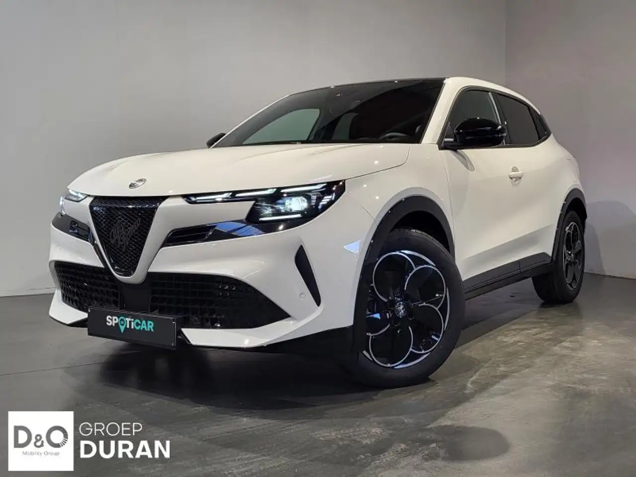 Alfa Romeo Junior 2025