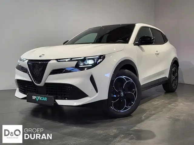Alfa Romeo Junior