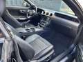 Ford Mustang Mustang Convertible Convertible 5.0 Ti-VCT V8 GT Schwarz - thumbnail 6