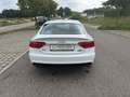 Audi A5 Sportback 2.0 TDI  quattro*Automatik*S-line* Blanc - thumbnail 6