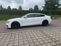 Audi A5 Sportback 2.0 TDI  quattro*Automatik*S-line* Blanc - thumbnail 8
