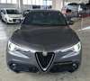 Alfa Romeo Stelvio Stelvio 2.2 t Ti Q4 210cv auto Grigio - thumbnail 2