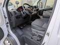 Fiat Ducato 35 2.3 MJT 130CV PLM-SL-TA XL Maxi euro 6 Blanc - thumbnail 7