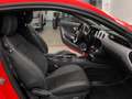 Ford Mustang 2.3 EcoBoost im Shelby Look! #Eyecatcher Rouge - thumbnail 12