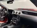 Ford Mustang 2.3 EcoBoost im Shelby Look! #Eyecatcher Rouge - thumbnail 4