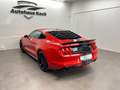 Ford Mustang 2.3 EcoBoost im Shelby Look! #Eyecatcher Rouge - thumbnail 5