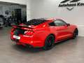 Ford Mustang 2.3 EcoBoost im Shelby Look! #Eyecatcher Rouge - thumbnail 7