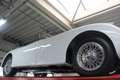 Jaguar XK XK150 3.4 Litre "OTS" Roadster Bare metal-restorat bijela - thumbnail 8