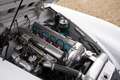 Jaguar XK XK150 3.4 Litre "OTS" Roadster Bare metal-restorat Blanco - thumbnail 14