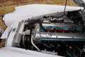 Jaguar XK XK150 3.4 Litre "OTS" Roadster Bare metal-restorat Wit - thumbnail 17