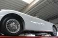 Jaguar XK XK150 3.4 Litre "OTS" Roadster Bare metal-restorat Fehér - thumbnail 7