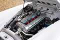 Jaguar XK XK150 3.4 Litre "OTS" Roadster Bare metal-restorat Blanco - thumbnail 25