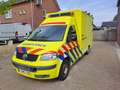 Volkswagen T5 Ambulance multivan Желтый - thumbnail 3