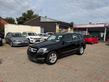 CDI SPORTPAKET Sitzhz Tempo Navi XENON