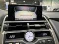 Lexus NX 300 300h Business 2WD Blanc - thumbnail 21