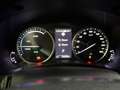 Lexus NX 300 300h Business 2WD Blanc - thumbnail 18
