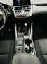 Lexus NX 300 300h Business 2WD Beyaz - thumbnail 9
