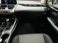Lexus NX 300 300h Business 2WD Bianco - thumbnail 10