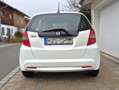 Honda Jazz Jazz 1.2 i-VTEC S Cool Weiß - thumbnail 3