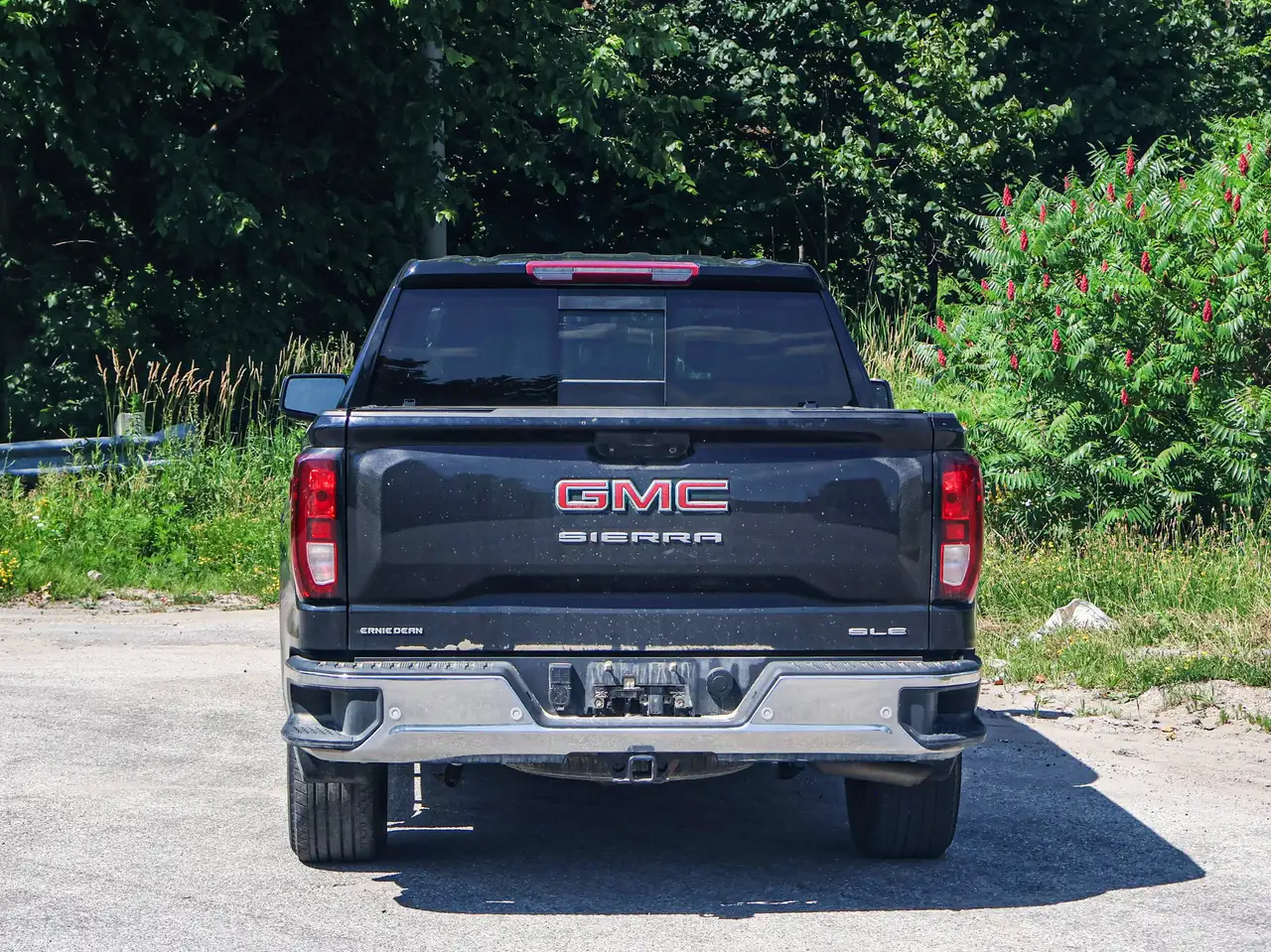 GMC Sierra 1500 fotografie GMC Sierra 1500
