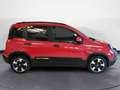 Fiat Panda 1.0 FireFly S&S Hybrid Pandina Rot - thumbnail 8