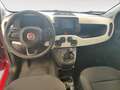 Fiat Panda 1.0 FireFly S&S Hybrid Pandina Rot - thumbnail 10