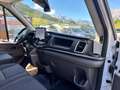Ford Transit 350 L2 Trend Weiß - thumbnail 14