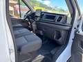 Ford Transit 350 L2 Trend Weiß - thumbnail 15