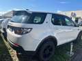 Land Rover Discovery Sport 2.0 TD4 150 CV Pure Bianco - thumbnail 3
