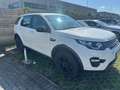 Land Rover Discovery Sport 2.0 TD4 150 CV Pure Bianco - thumbnail 2