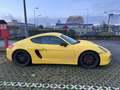 Porsche Cayman Cayman 2.7 275cv Giallo - thumbnail 1