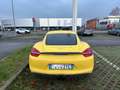Porsche Cayman Cayman 2.7 275cv Giallo - thumbnail 6