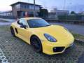 Porsche Cayman Cayman 2.7 275cv Giallo - thumbnail 4