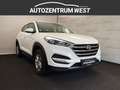 Hyundai TUCSON Tucson Weiß - thumbnail 5