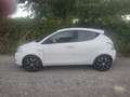 Lancia Ypsilon 1.2 evo II Silver Blanco - thumbnail 1