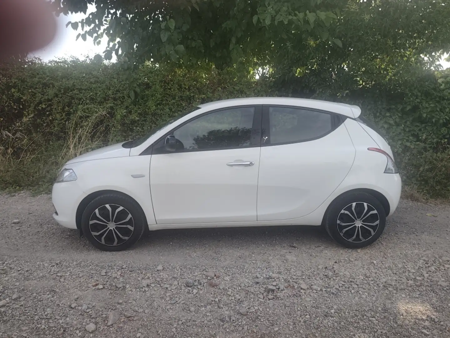 Lancia Ypsilon 1.2 evo II Silver Blanco - 1