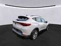 CUPRA Formentor 2.0 TDI*AHK*KAM*PDC*LED*SHZ Weiß - thumbnail 2