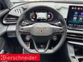 CUPRA Terramar 2.0 TSI DSG 4Drive VZ MATRIX-LED NAVI PANO SIDEASS Grau - thumbnail 9