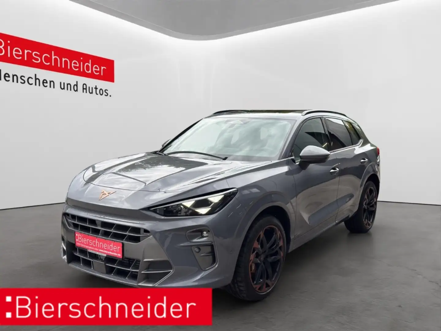 CUPRA Terramar 2.0 TSI DSG 4Drive VZ MATRIX-LED NAVI PANO SIDEASS Grau - 1