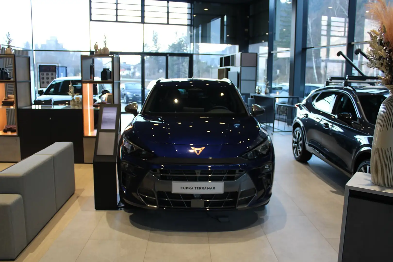 CUPRA Terramar 2.0 TSI 204 PS DSG 4Drive Blau - 2