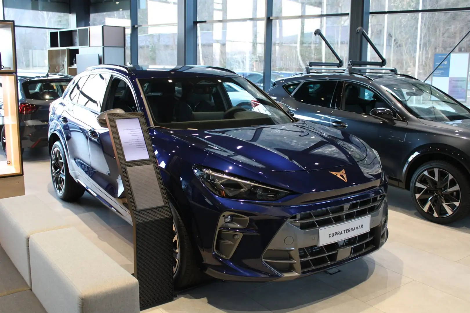 CUPRA Terramar 2.0 TSI 204 PS DSG 4Drive Blau - 1