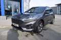 Ford Kuga ST-Line X 2.0L Ecoblue Allrad Grau - thumbnail 1