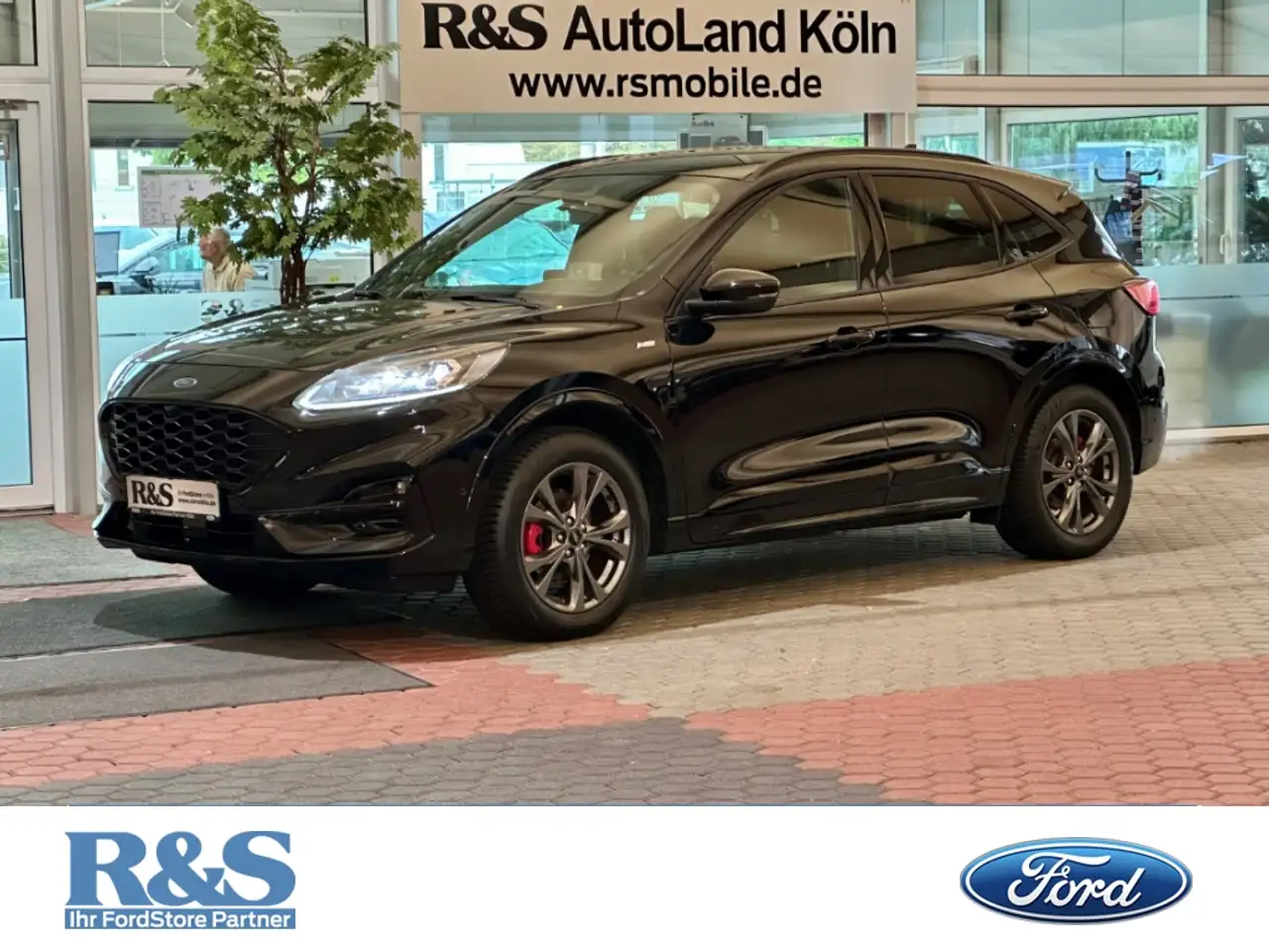 Ford Kuga ST-Line X+AHK+Head-Up+B&O+Key-Free+Winter-P.