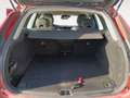 Volvo XC60 D4 Momentum AWD Aut. Rojo - thumbnail 8