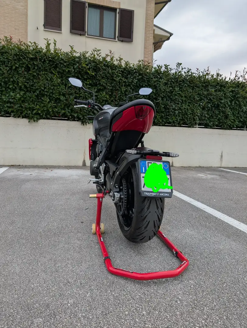 Triumph Trident 660 Szürke - 2