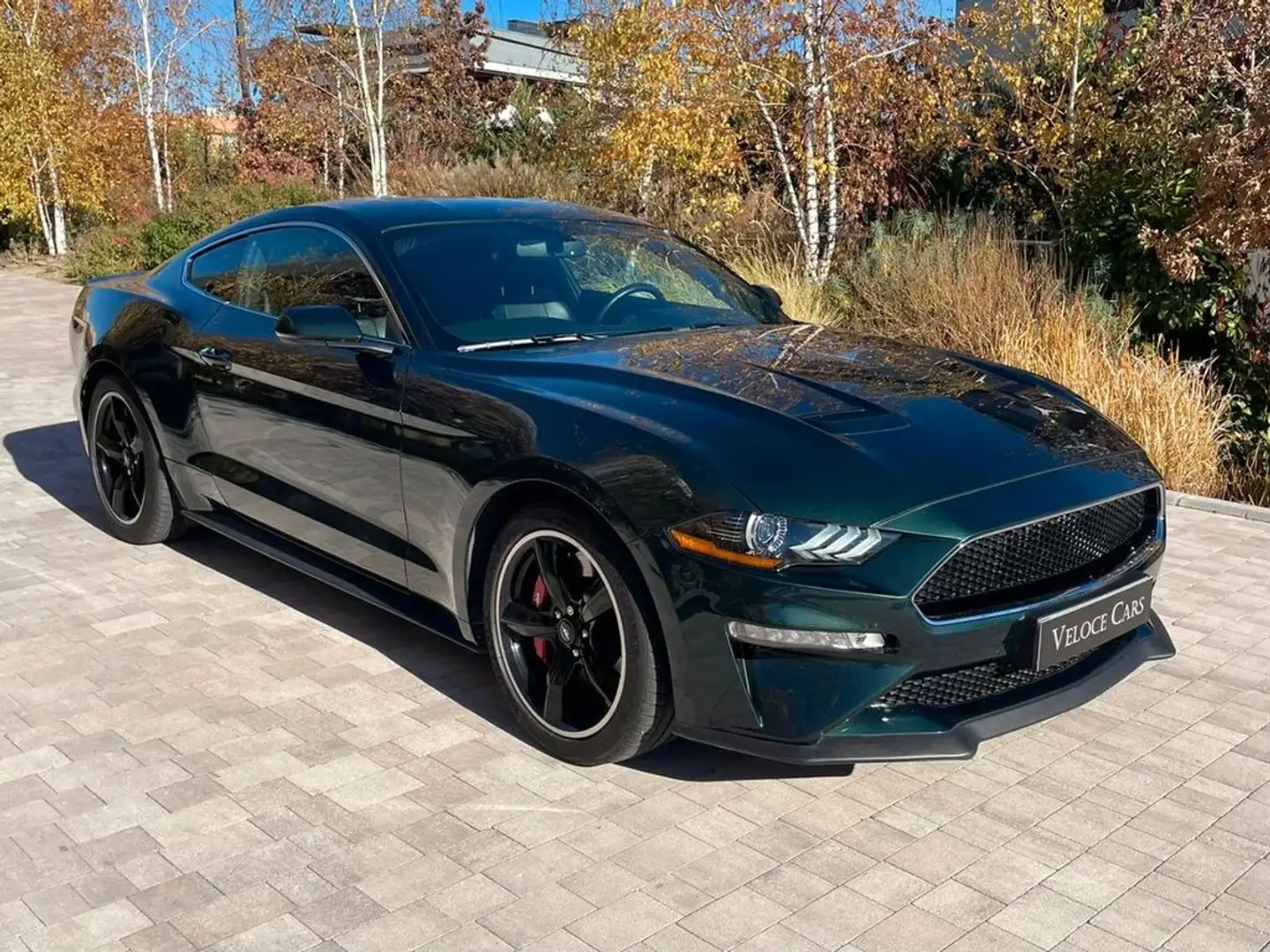 Ford Mustang 5.0 TiVCT V8  GT BullitFastsb. Verde - 1