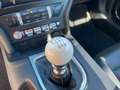 Ford Mustang 5.0 TiVCT V8  GT BullitFastsb. Verde - thumbnail 13