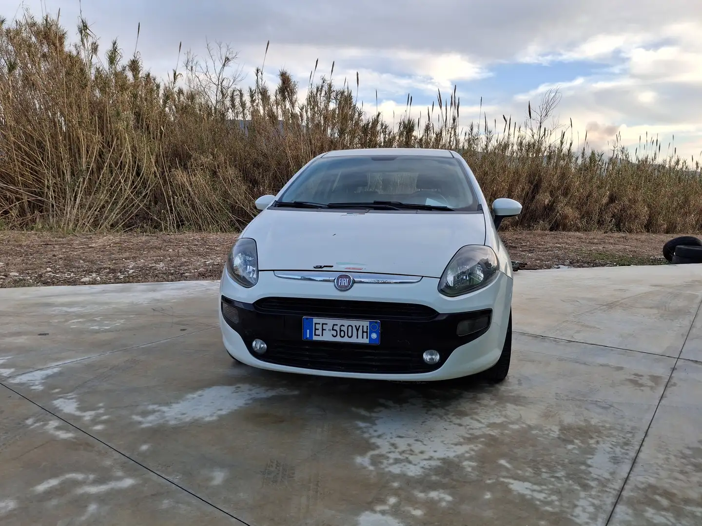 Fiat Punto Evo 3p 1.3 mjt Dynamic s Bianco - 1